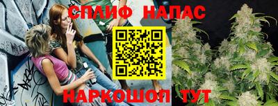 гидропоника Краснознаменск